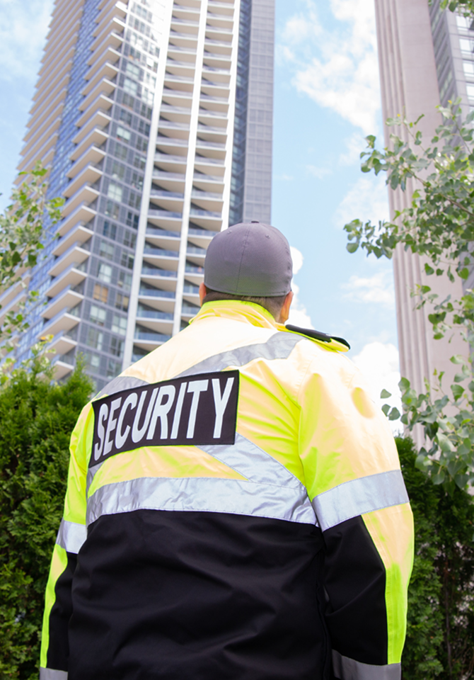 Security Professional